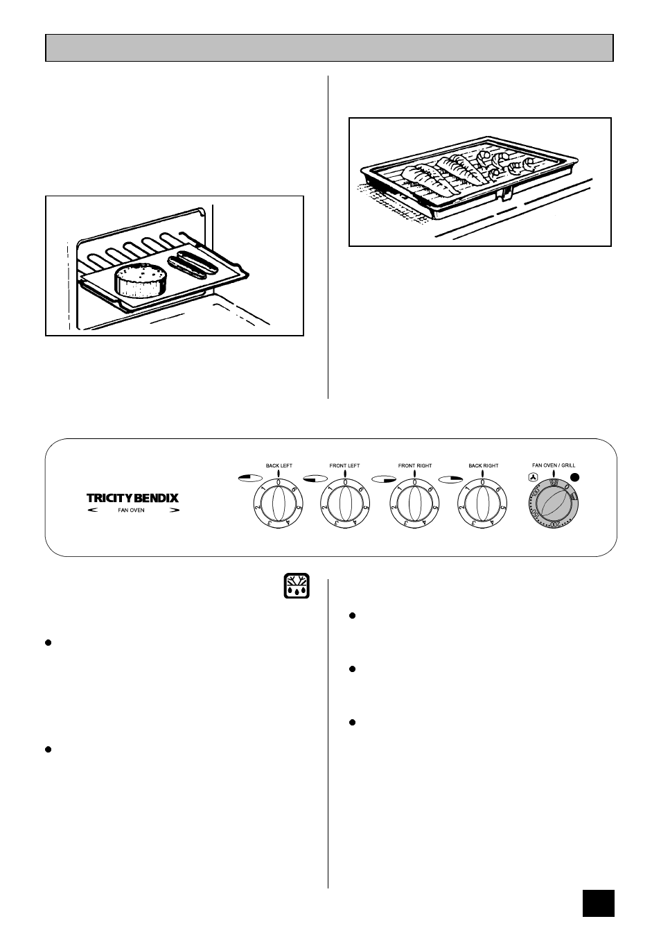 Defrost feature | Tricity Bendix SI 251 User Manual | Page 19 / 28