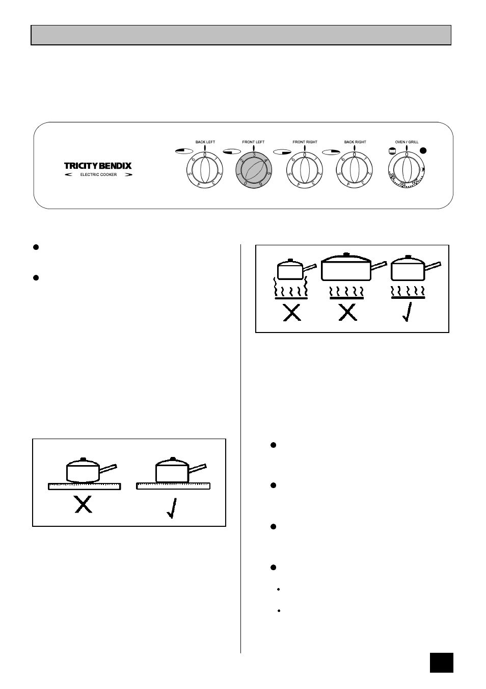 The sealed hotplates | Tricity Bendix RSE50M User Manual | Page 11 / 28