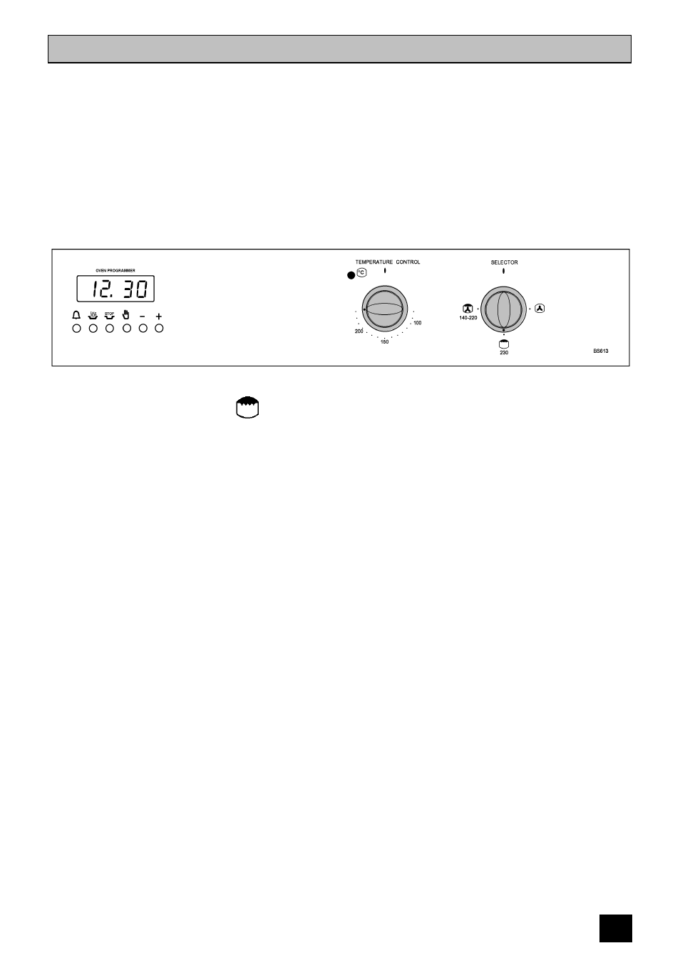 The grill | Tricity Bendix BS 613/2 User Manual | Page 21 / 40