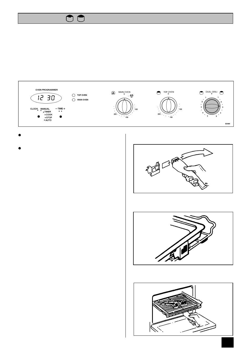 The grill | Tricity Bendix BD 985 User Manual | Page 19 / 40