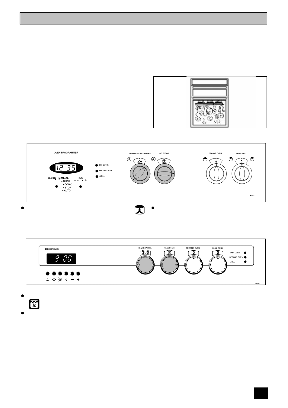 Thermal grilling | Tricity Bendix BD 921/2 User Manual | Page 31 / 52
