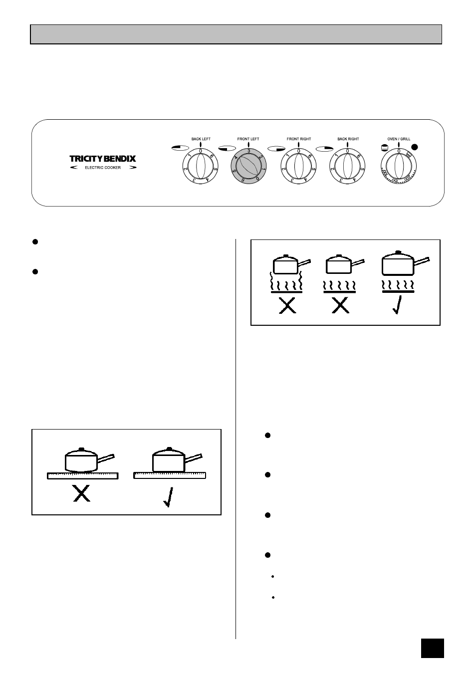 The sealed hotplates | Tricity Bendix SI 221 User Manual | Page 11 / 28