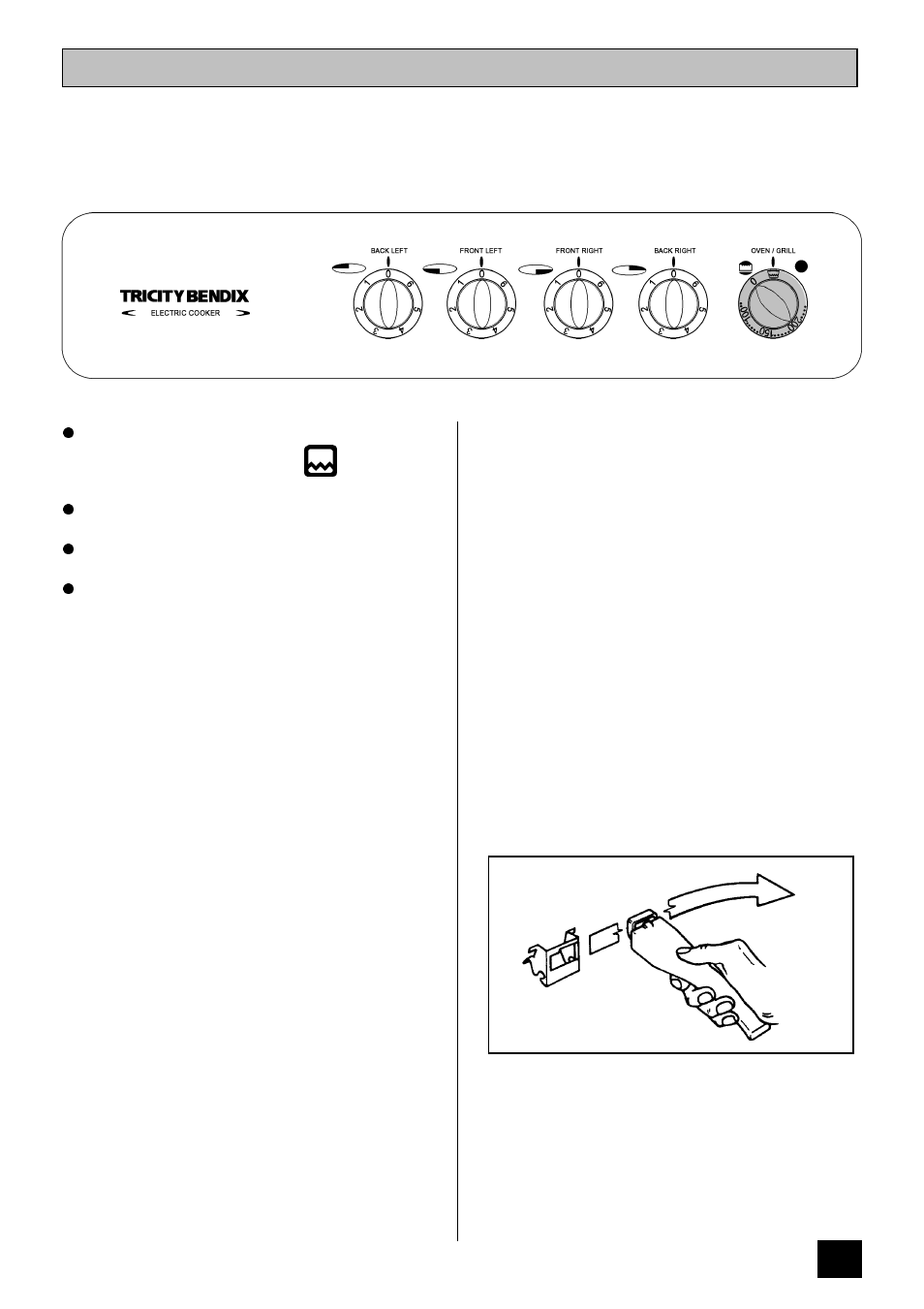 The grill | Tricity Bendix SI 221 User Manual | Page 13 / 28
