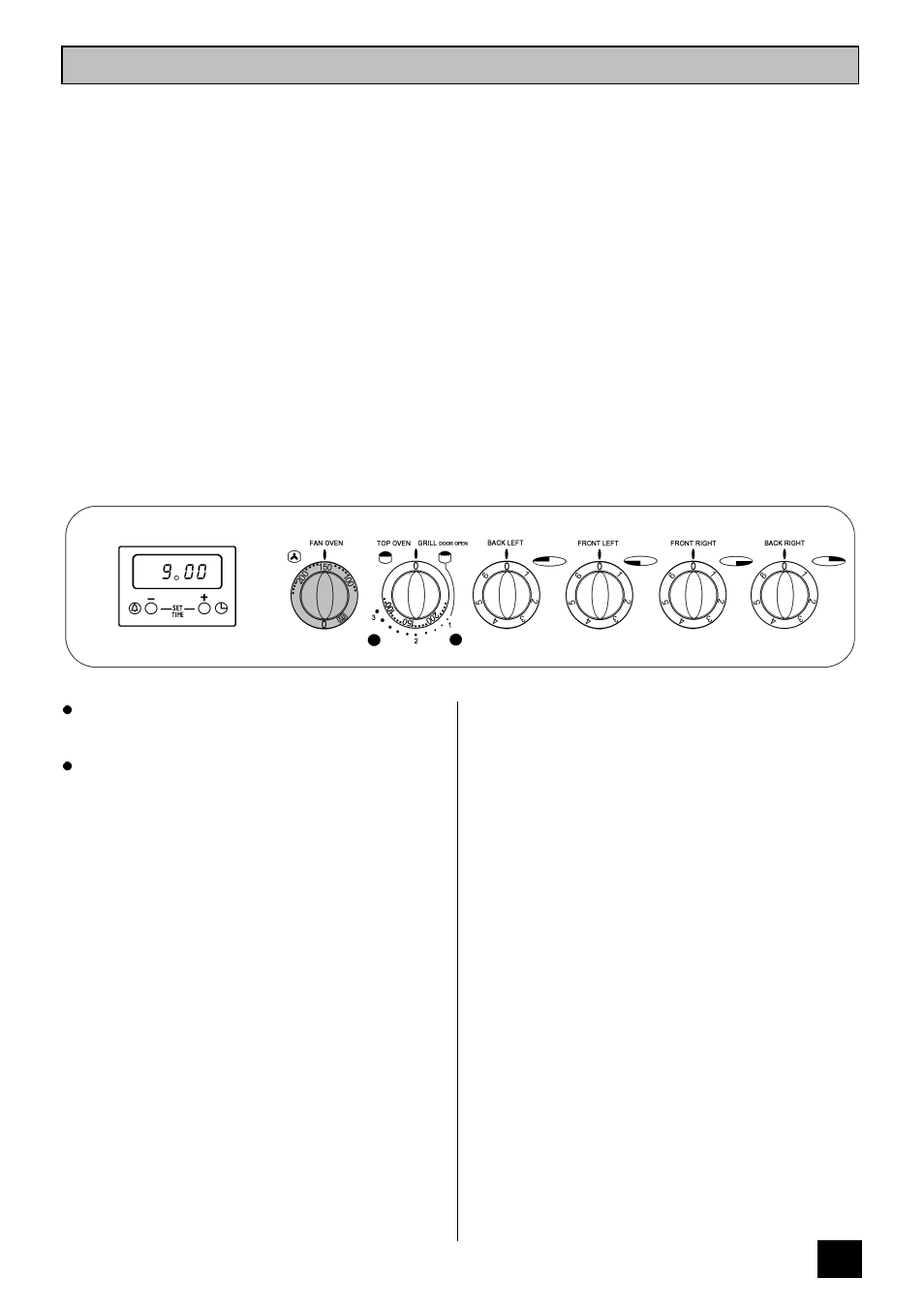 The main fan oven | Tricity Bendix SI 323 User Manual | Page 19 / 32