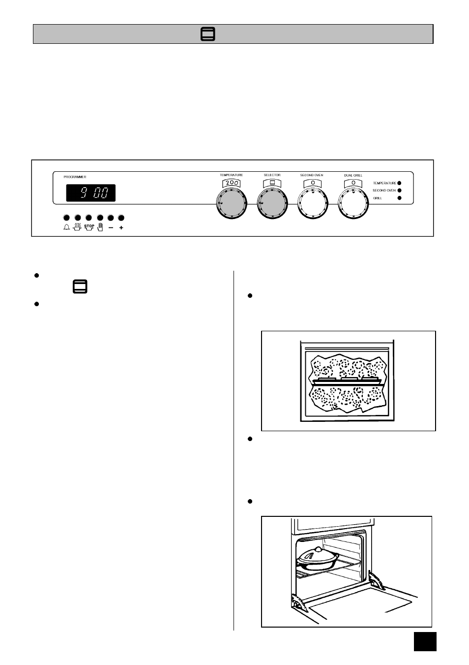 The conventional oven | Tricity Bendix DURHAM User Manual | Page 23 / 52
