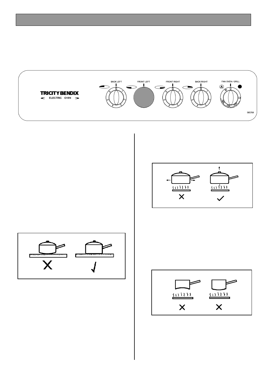 The sealed hotplates | Tricity Bendix SIE 250 User Manual | Page 11 / 28