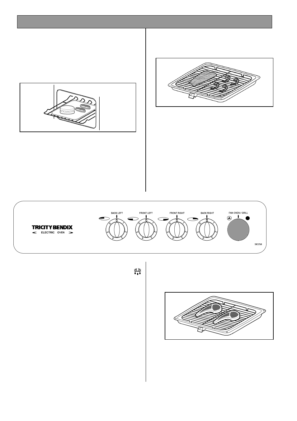 Defrost feature | Tricity Bendix SIE 250 User Manual | Page 19 / 28