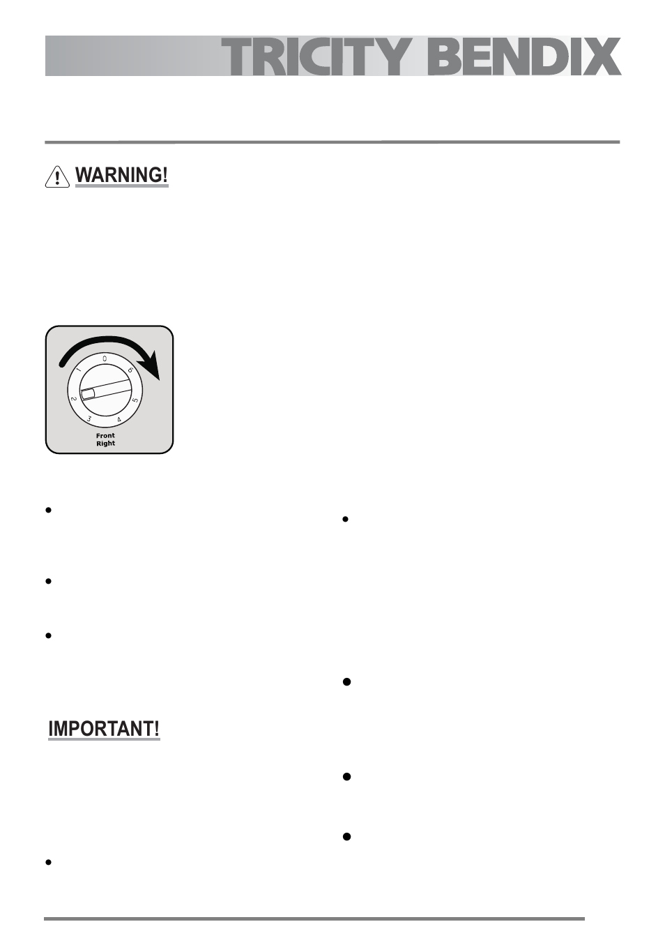 The hob, Using the hob, Recommended saucepans | Hints and tips when using the hob, Warning, Important | Tricity Bendix U30352 SE558 User Manual | Page 13 / 40