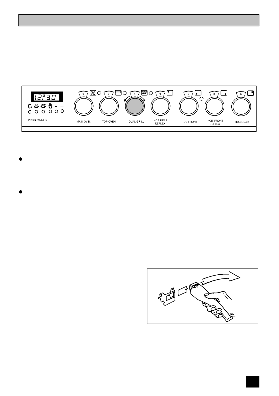 The dual grill | Tricity Bendix SB 461 User Manual | Page 17 / 36
