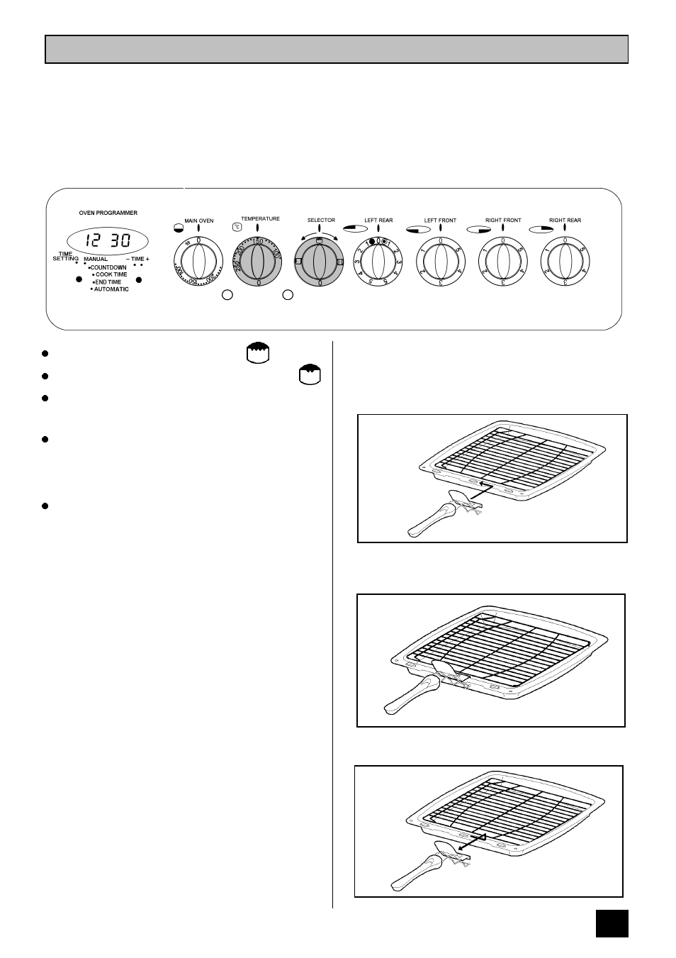 The dual grill | Tricity Bendix SIE 459 User Manual | Page 15 / 36