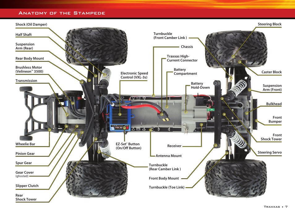 Anatomy of the stampede | Traxxas RUSTLER 3608 User Manual | Page 7 / 28