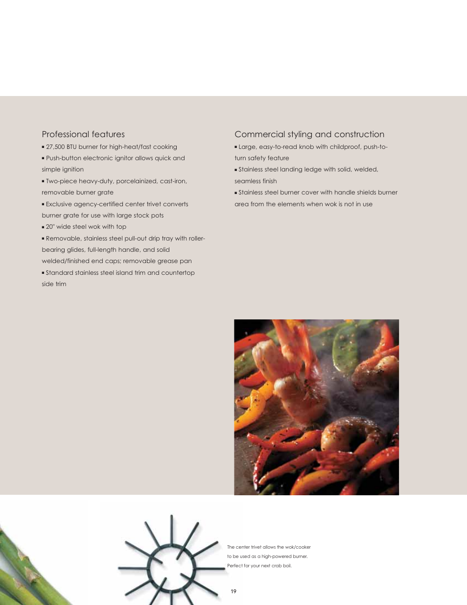 Professional features, Commercial styling and construction | Viking F60112I User Manual | Page 19 / 52