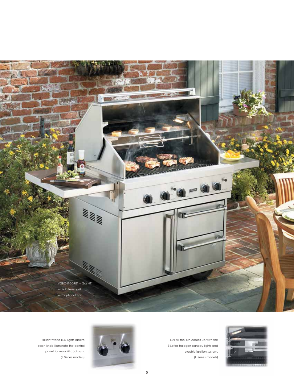 Viking F60112I User Manual | Page 5 / 52