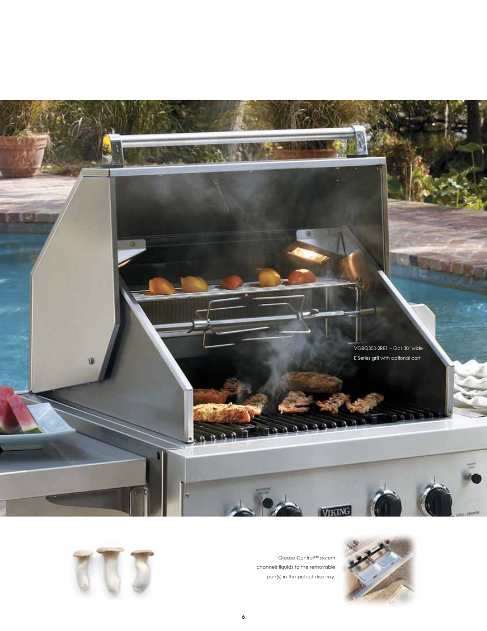 Viking F60112I User Manual | Page 6 / 52