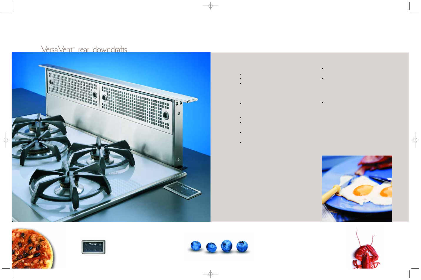 Versavent, Rear downdrafts, Appearance and design | Viking F60044H User Manual | Page 14 / 20
