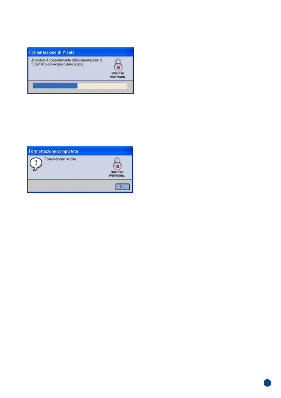 It aliano | Verbatim Store'n'Go Professional V-Safe User Manual | Page 60 / 88