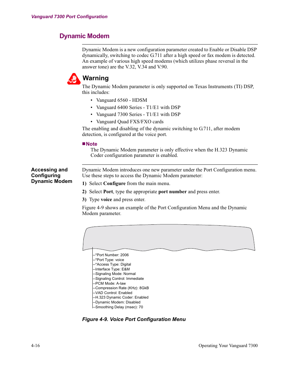 Dynamic modem, Warning | Vanguard Managed Solutions Vanguard 7300 Series User Manual | Page 126 / 227