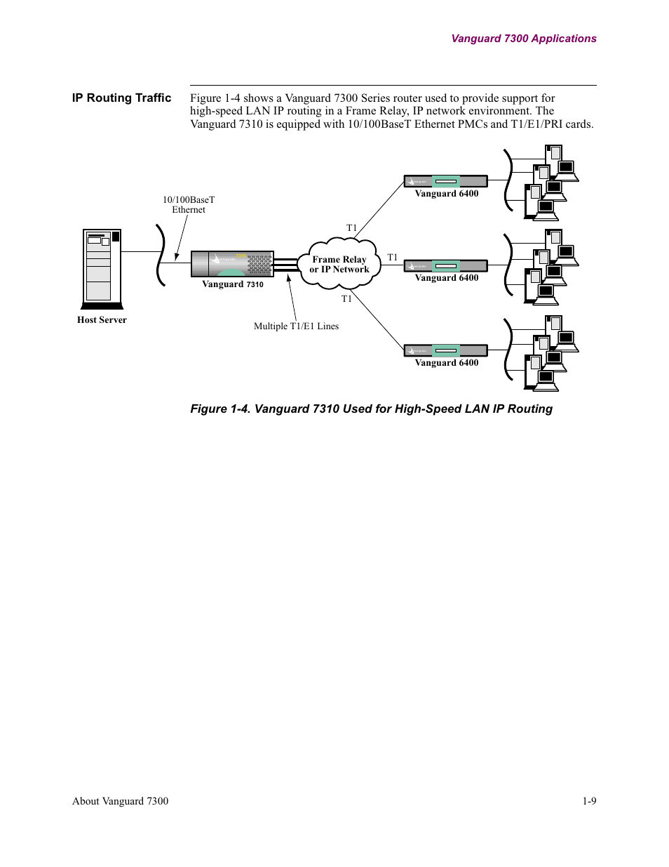 Vanguard Managed Solutions Vanguard 7300 Series User Manual | Page 21 / 227