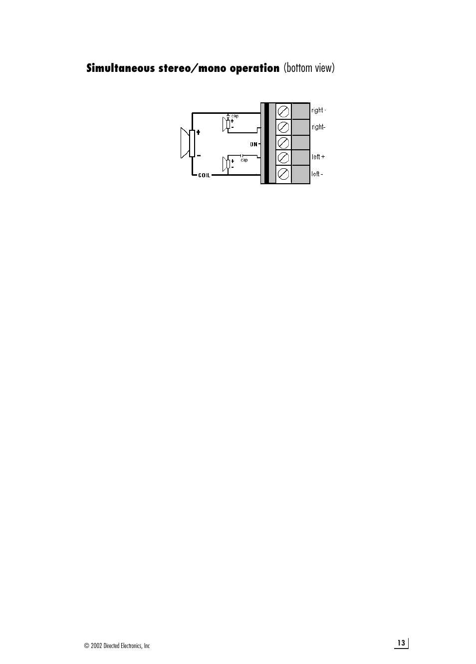 Bottom view), Simultaneous stereo/mono operation | Viper 200.4 User Manual | Page 13 / 16