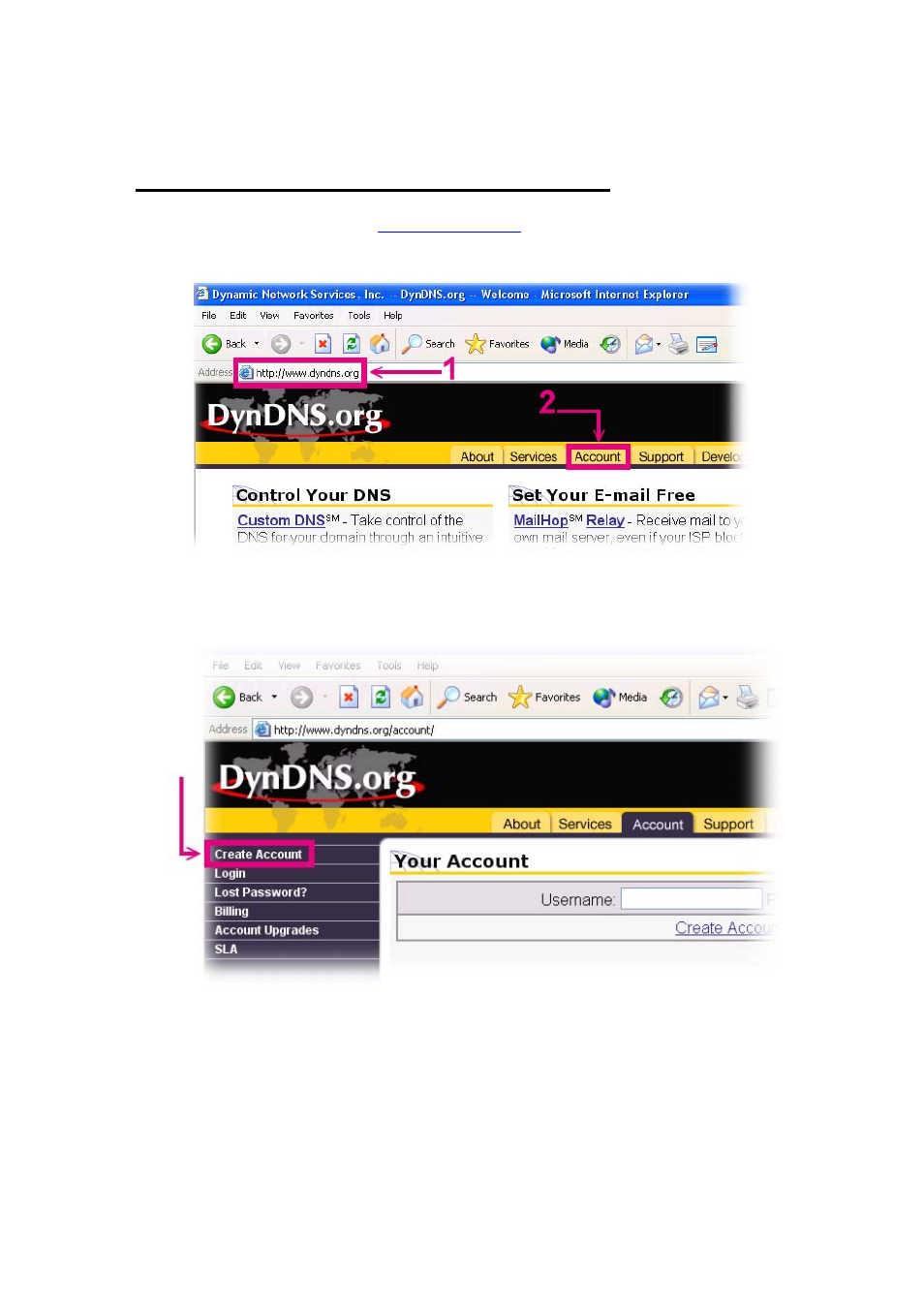 Application steps—ddns & domain name | Veo Pan and Tilt User Manual | Page 92 / 95