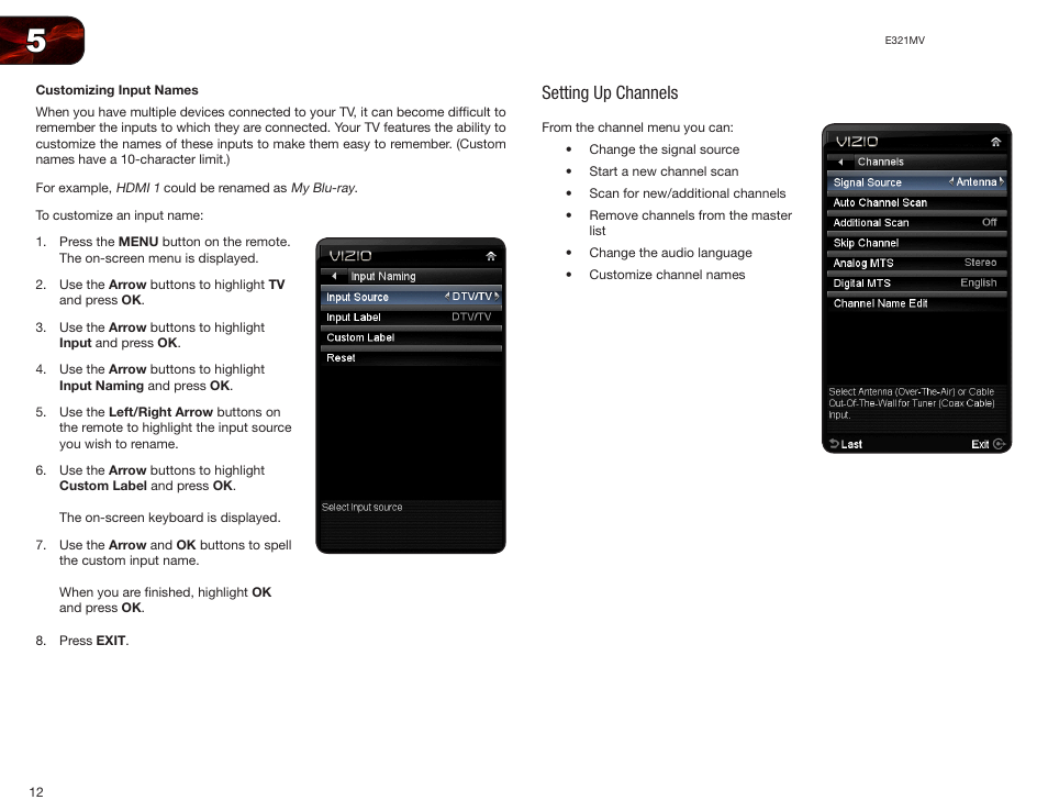 Customizing input names, Setting up channels | Vizio E321MV User Manual | Page 20 / 48