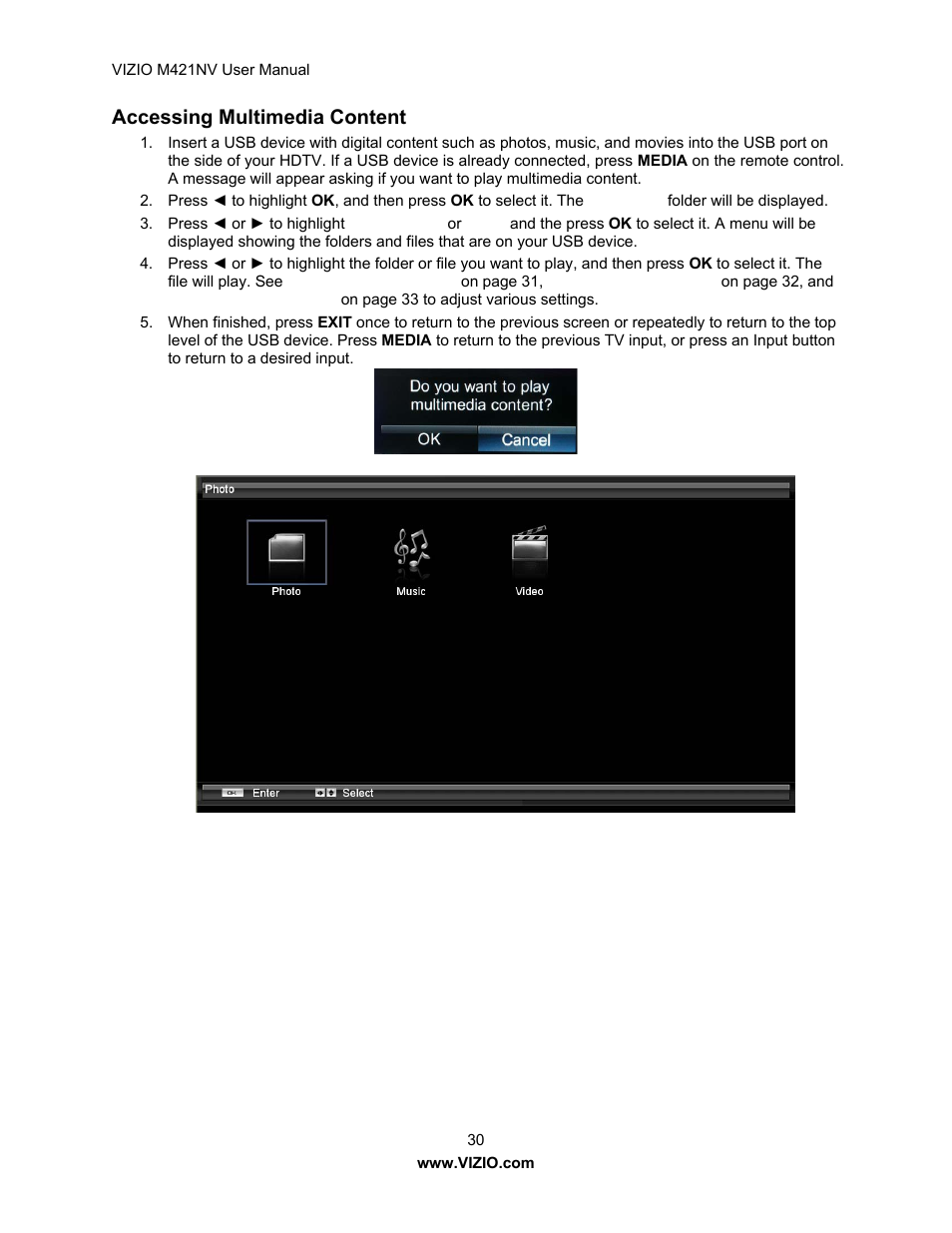 Accessing multimedia content | Vizio M421NV User Manual | Page 31 / 74