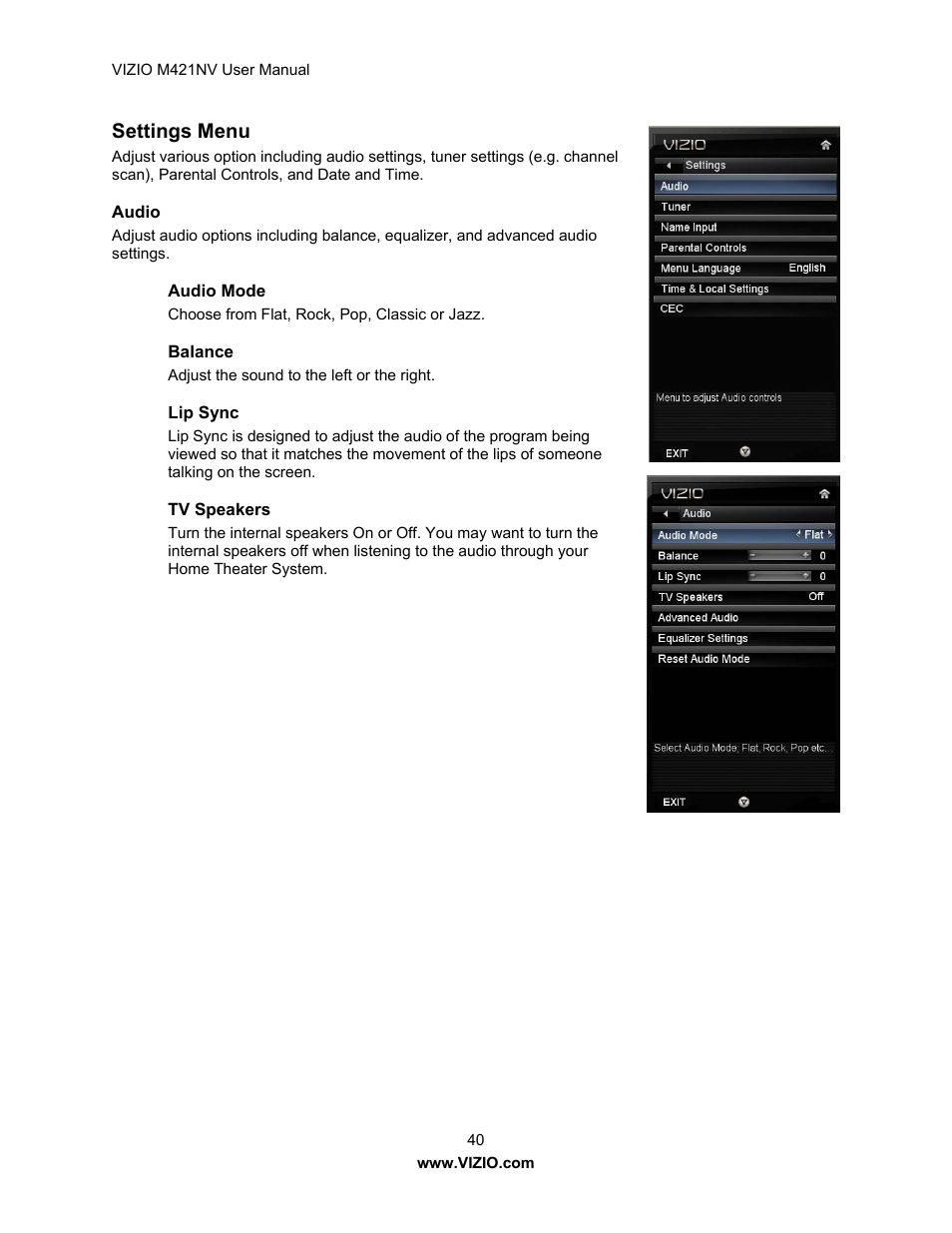 Settings menu | Vizio M421NV User Manual | Page 41 / 74