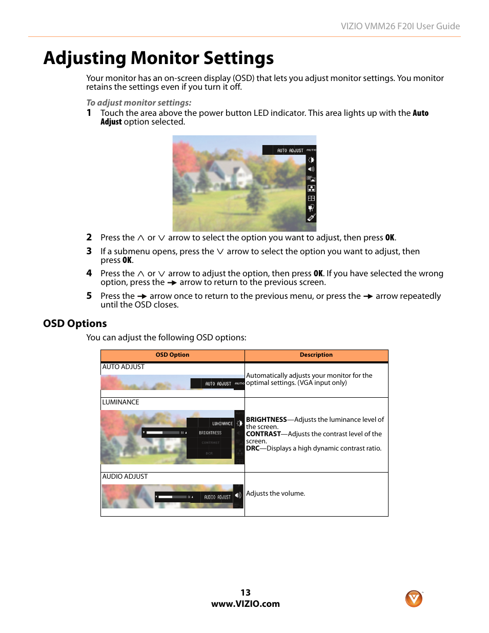 Adjusting monitor settings, Osd options | Vizio F20I User Manual | Page 13 / 23