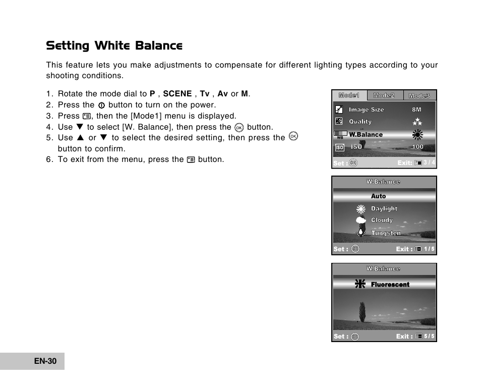 Setting white balance | Vivitar Tripod/Video Equipment User Manual | Page 30 / 70