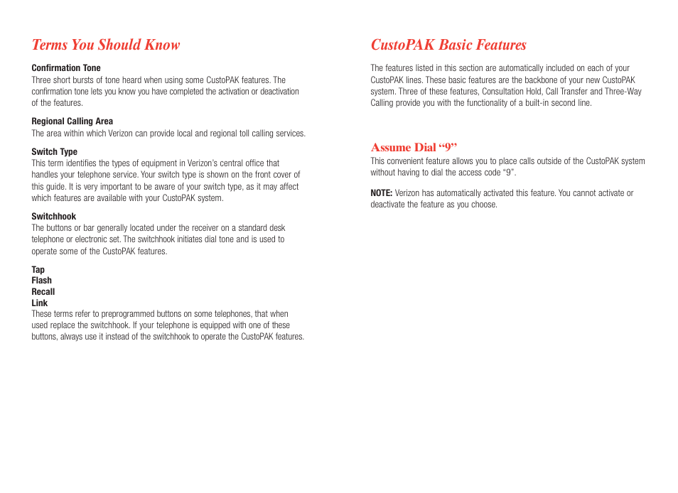 Terms you should know, Custopak basic features | Verizon CustoPAK User Manual | Page 6 / 30