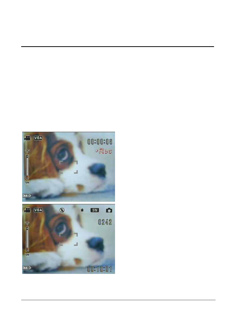 3using the digital video camcorder, 1 using the lcd display | VuPoint Solutions VuPoint DV-DA1-VP User Manual | Page 20 / 73