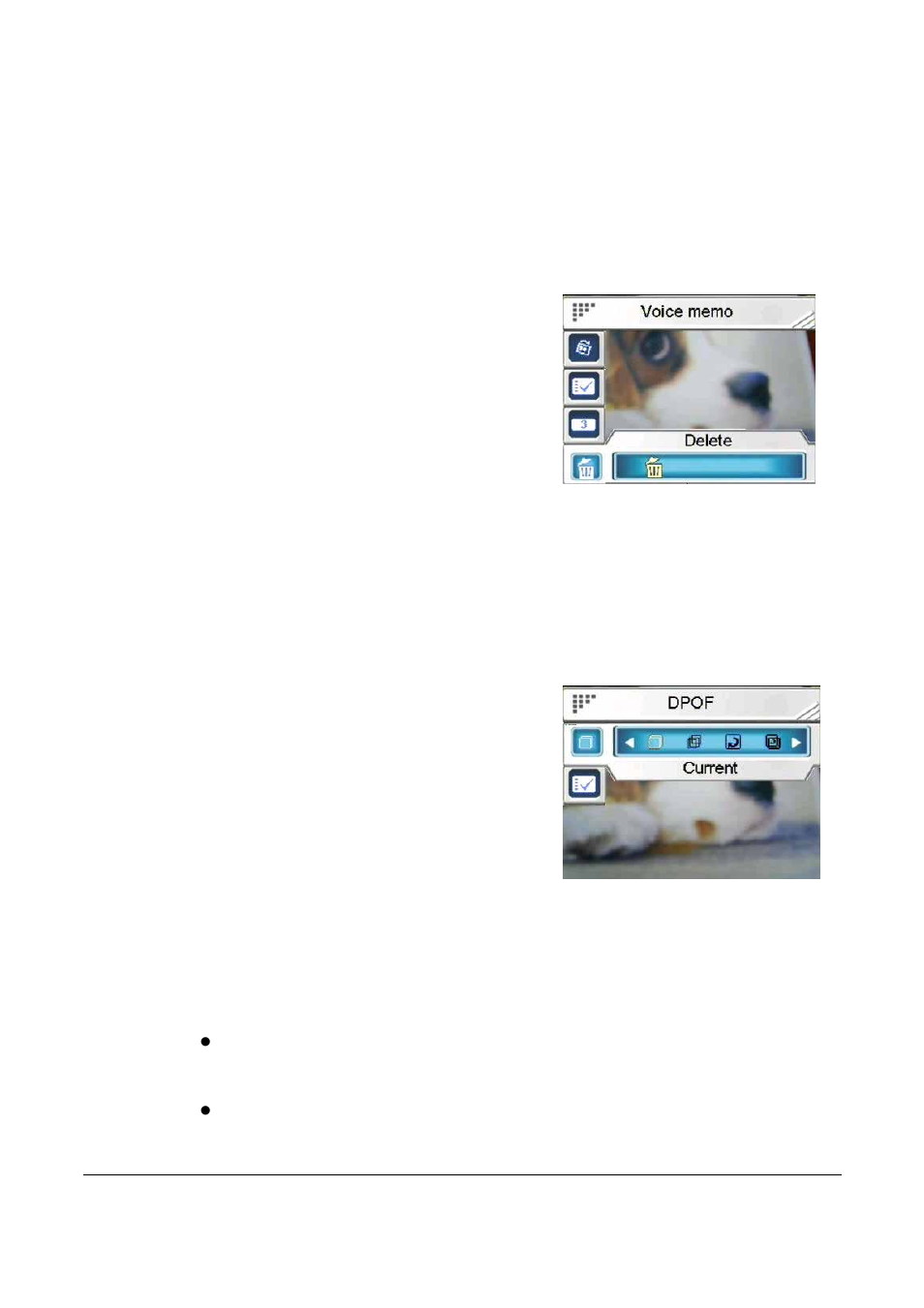VuPoint Solutions VuPoint DV-DA1-VP User Manual | Page 47 / 73