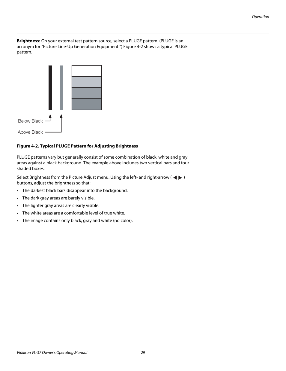 Brightness, 2. typical pluge pattern for adjusting brightness | Vidikron VL-37 User Manual | Page 39 / 66