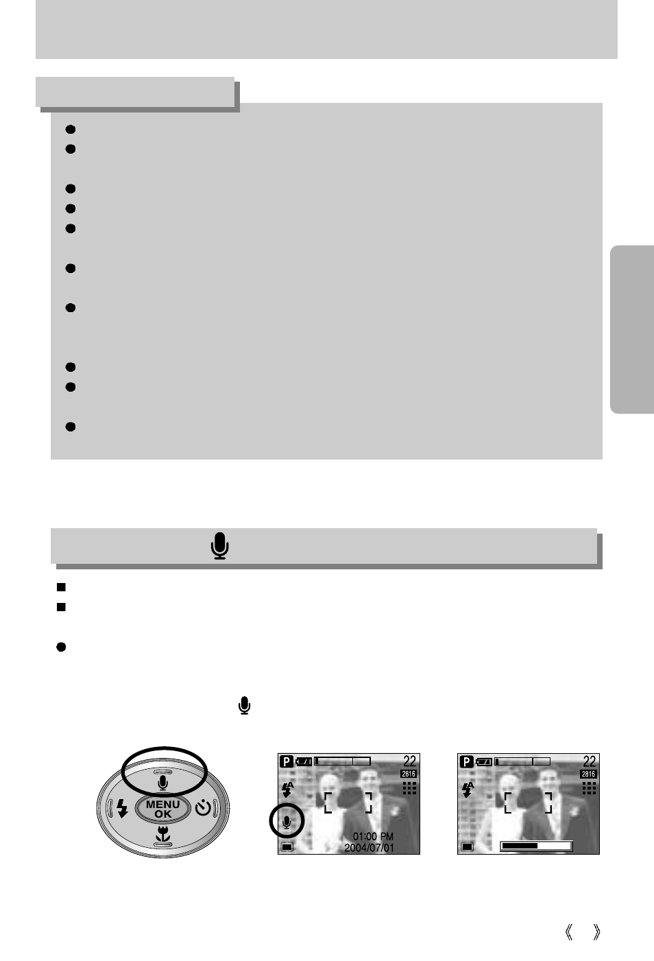 Zoom w/t button | Vanson V-6000 User Manual | Page 29 / 120