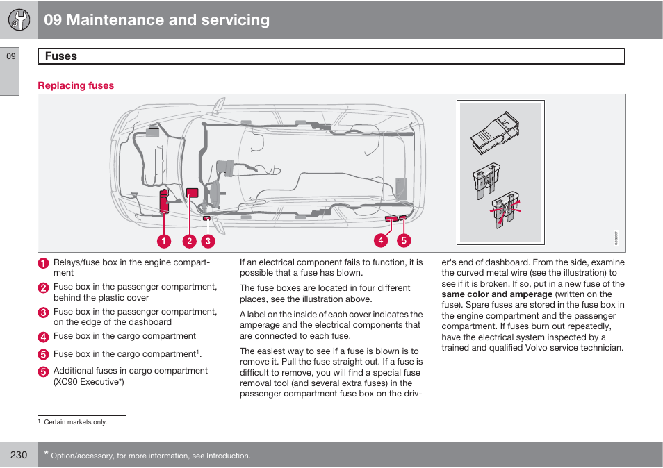 09 maintenance and servicing, Fuses | Volvo XC90 User Manual | Page 230 / 302