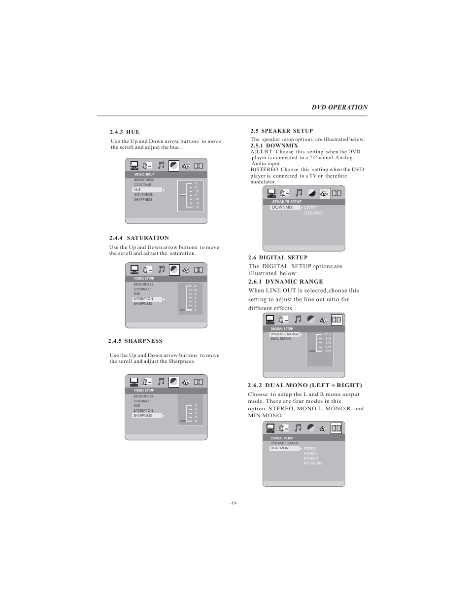 Dvd operation, The digital setup options are illustrated below | VIORE LCD19VH65 User Manual | Page 20 / 26