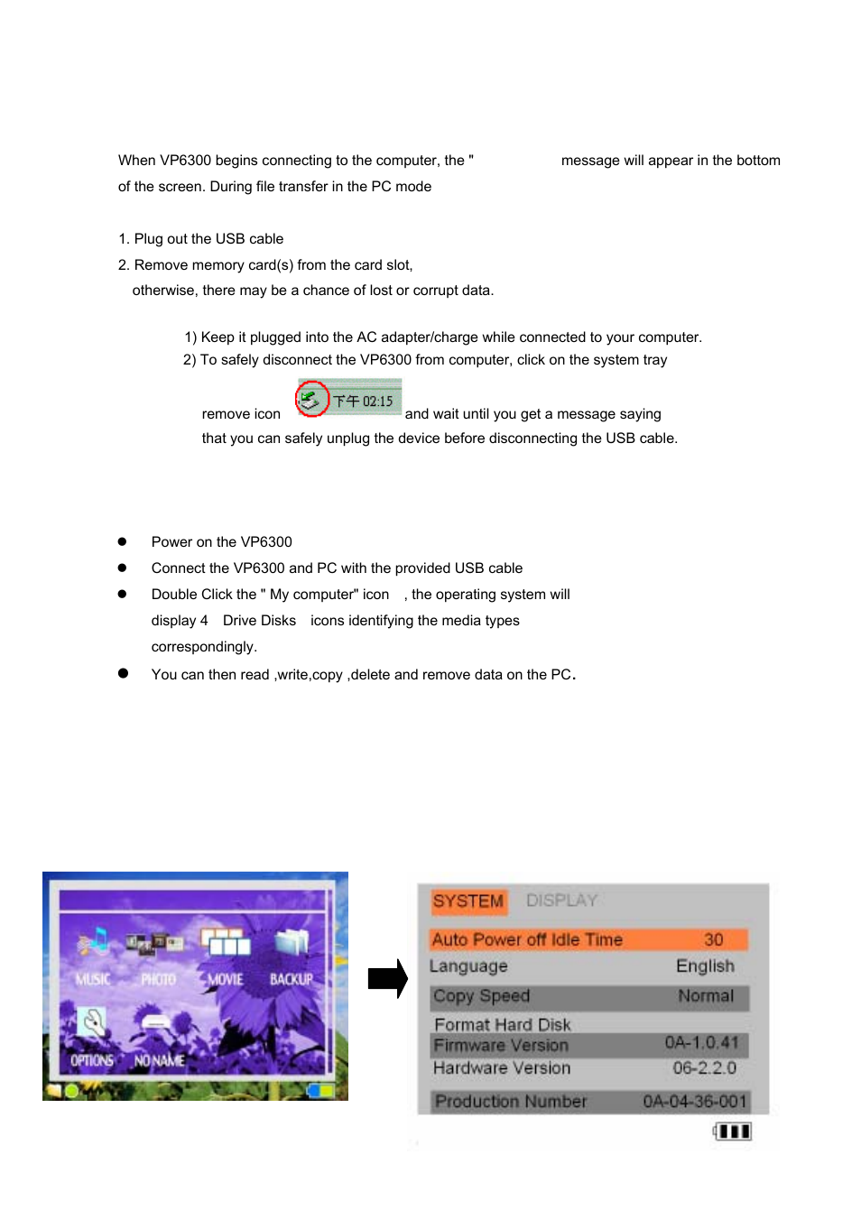 Settings for your multi media viewer | VOSONIC VP6300 User Manual | Page 11 / 22