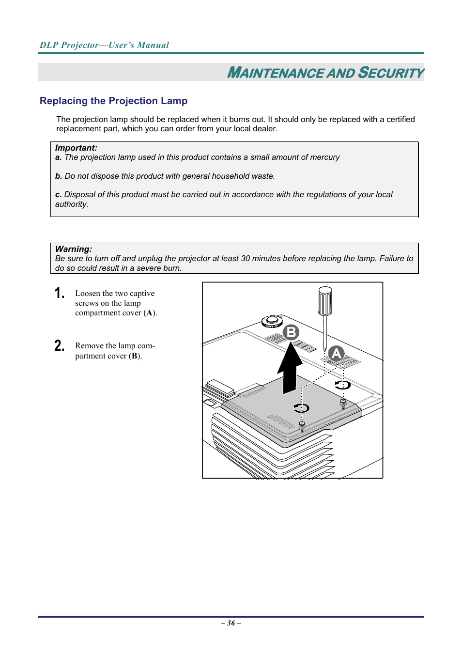 Maintenance and security, Replacing the projection lamp, Eplacing the | Rojection, Aintenance and, Ecurity | Vivitek D3 User Manual | Page 44 / 62