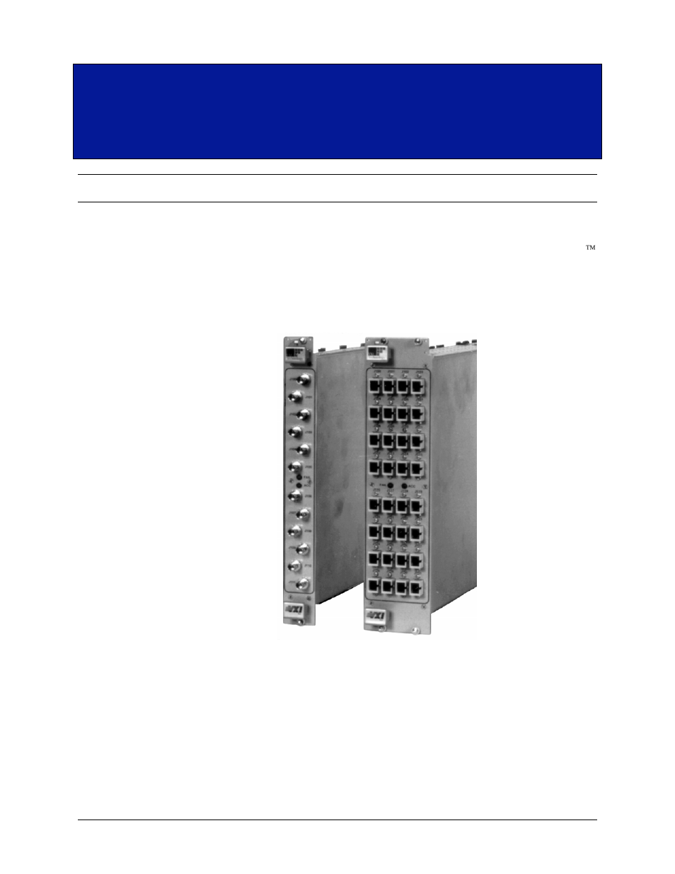 Introduction, Overview, Ection | Ntroduction | VXI SM8000 User Manual | Page 13 / 74