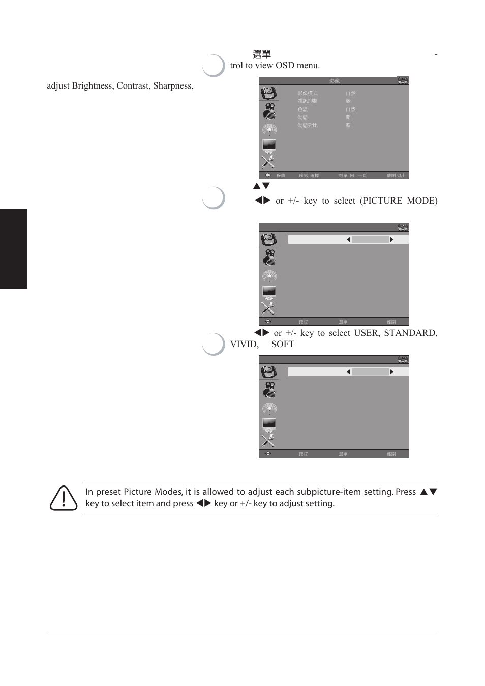 Picture adjustment, English | VIEWSONIC VS12078 User Manual | Page 20 / 34