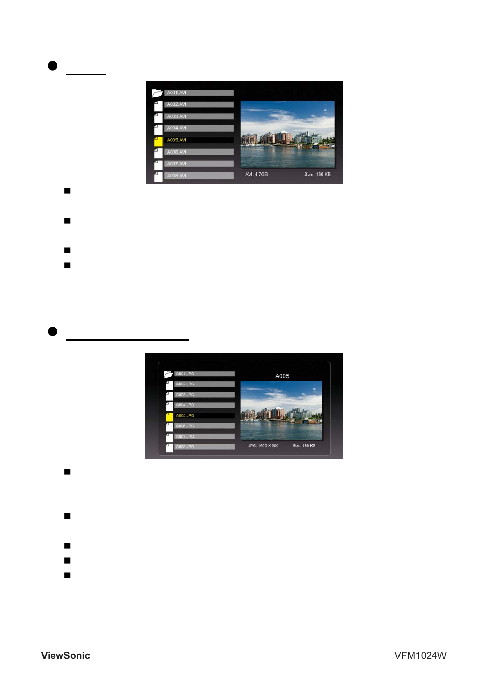 Z video, Z file management | VIEWSONIC VFM1024W User Manual | Page 11 / 18