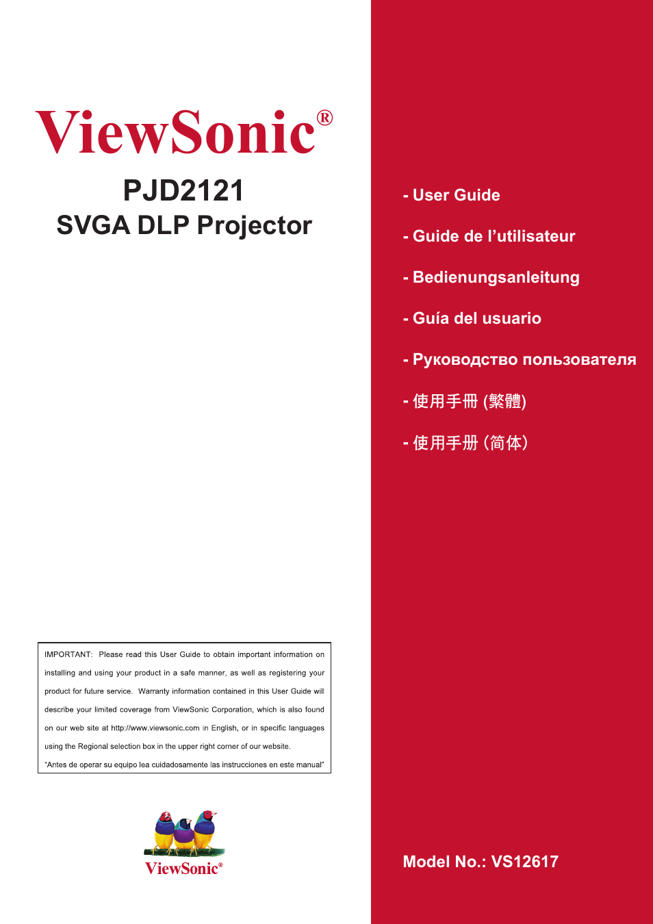 VIEWSONIC PJD2121 VS12617 User Manual | 36 pages