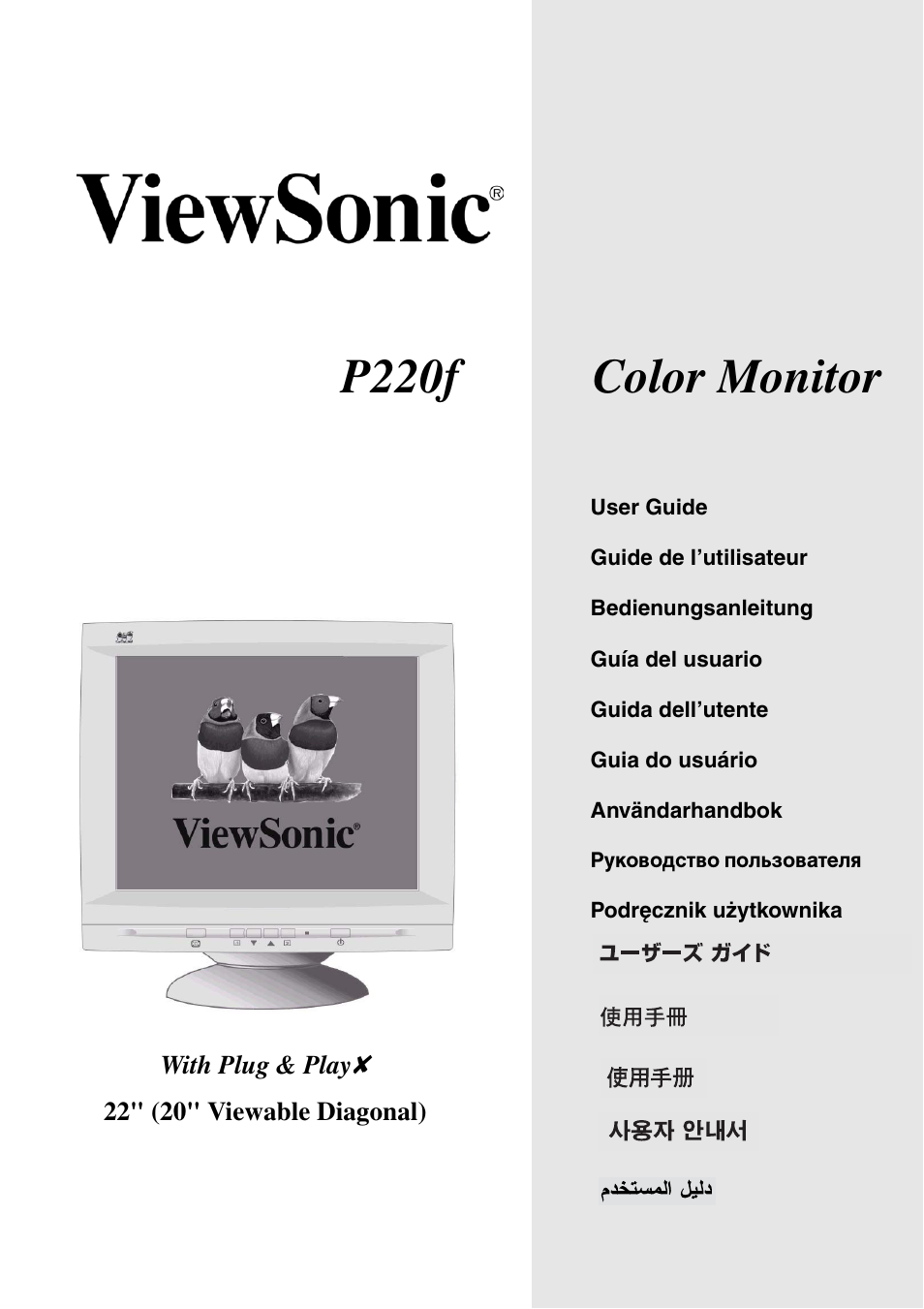 VIEWSONIC P220f User Manual | 20 pages