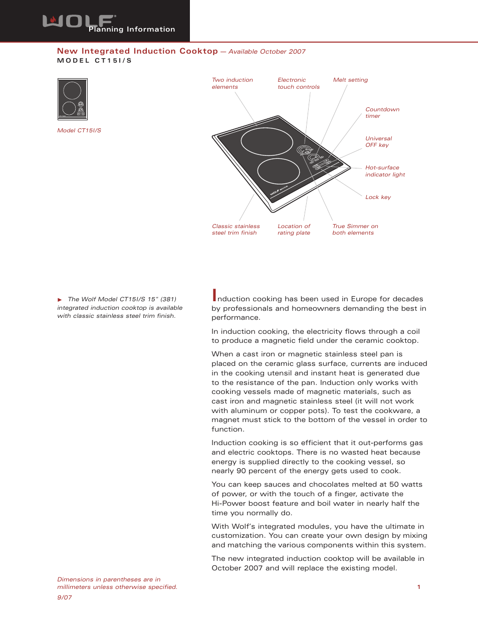 Wolf CT15I/S User Manual | 6 pages