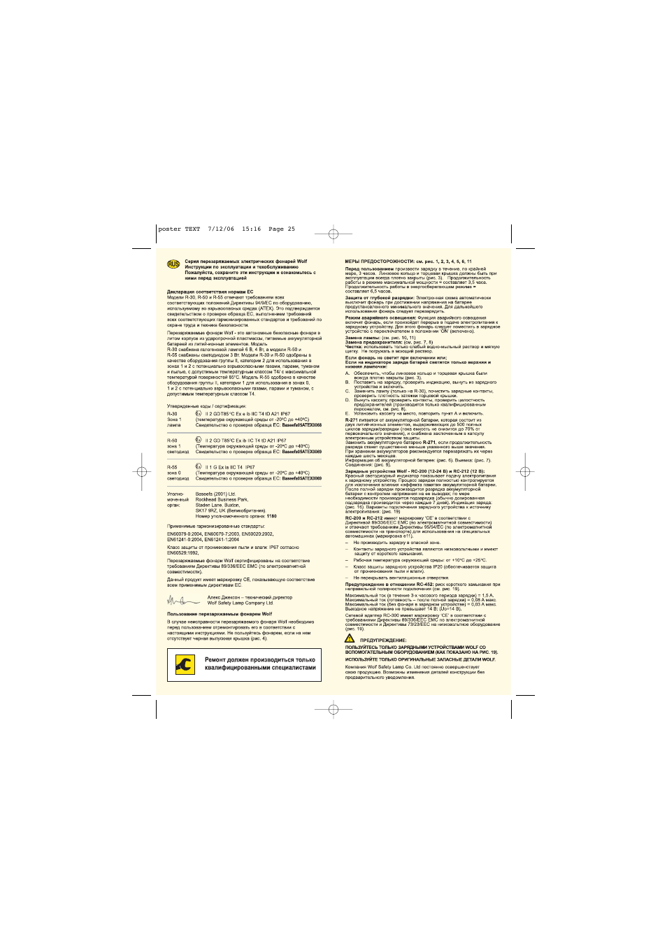 Wolf RECHARGEABLE TORCH R-510 User Manual | Page 13 / 15