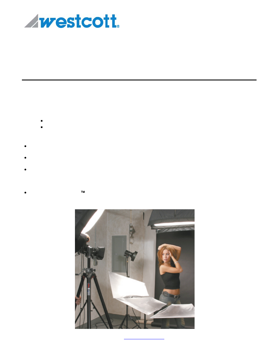 Westcott 2930 User Manual | 1 page