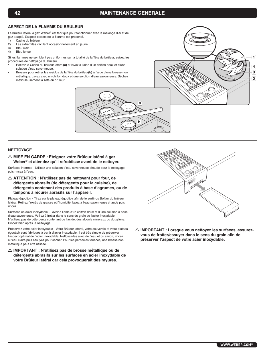 Maintenance generale | weber 56070 User Manual | Page 42 / 44