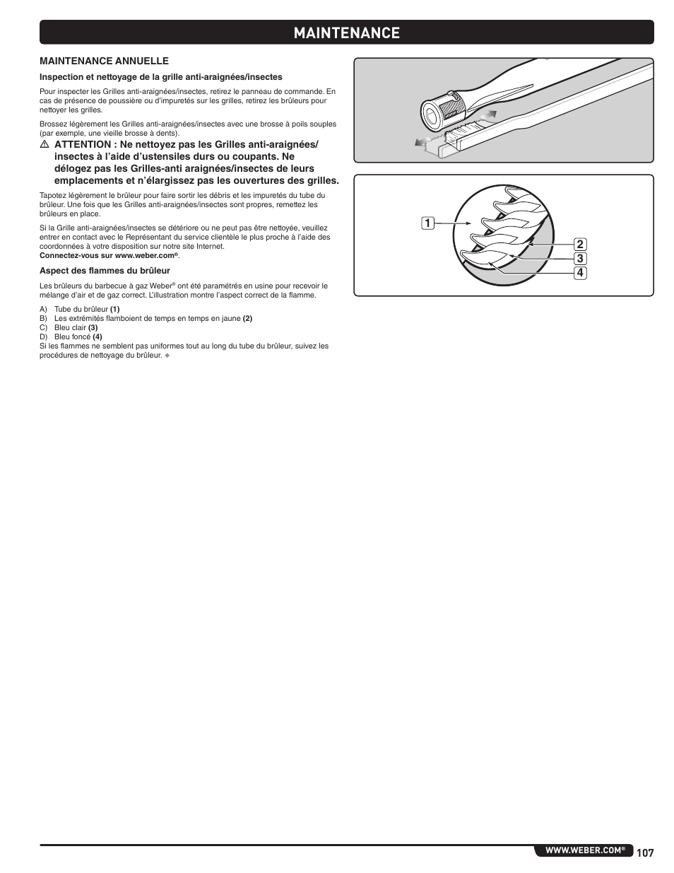 Maintenance | weber Summit 56206 User Manual | Page 107 / 108
