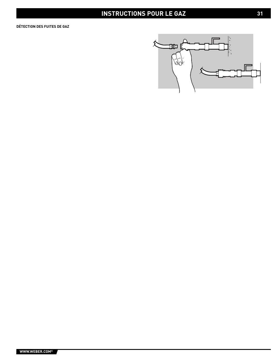 weber SP - 210 User Manual | Page 31 / 40