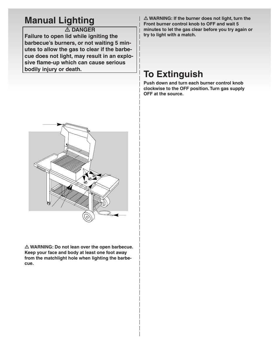 Manual lighting | weber Genesis Platinum C User Manual | Page 19 / 30
